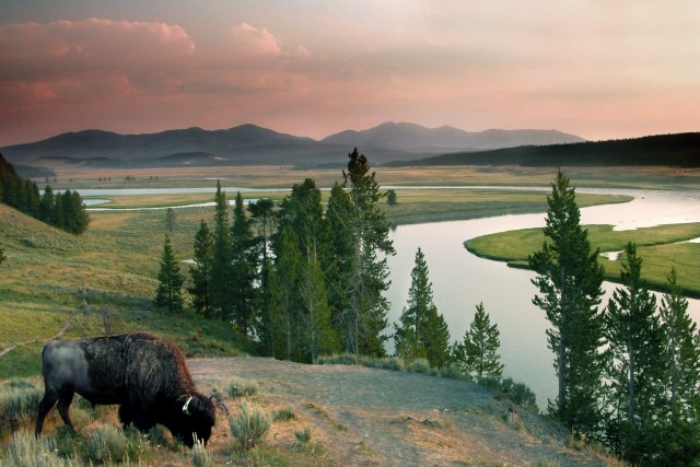 Why You Should Start Exploring Nature at These Stunning National Parks