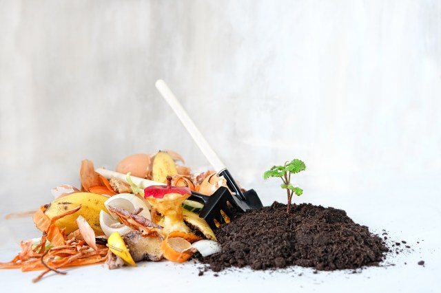 Top 5 Essential Tips for Creating Your Own Compost Bin Successfully